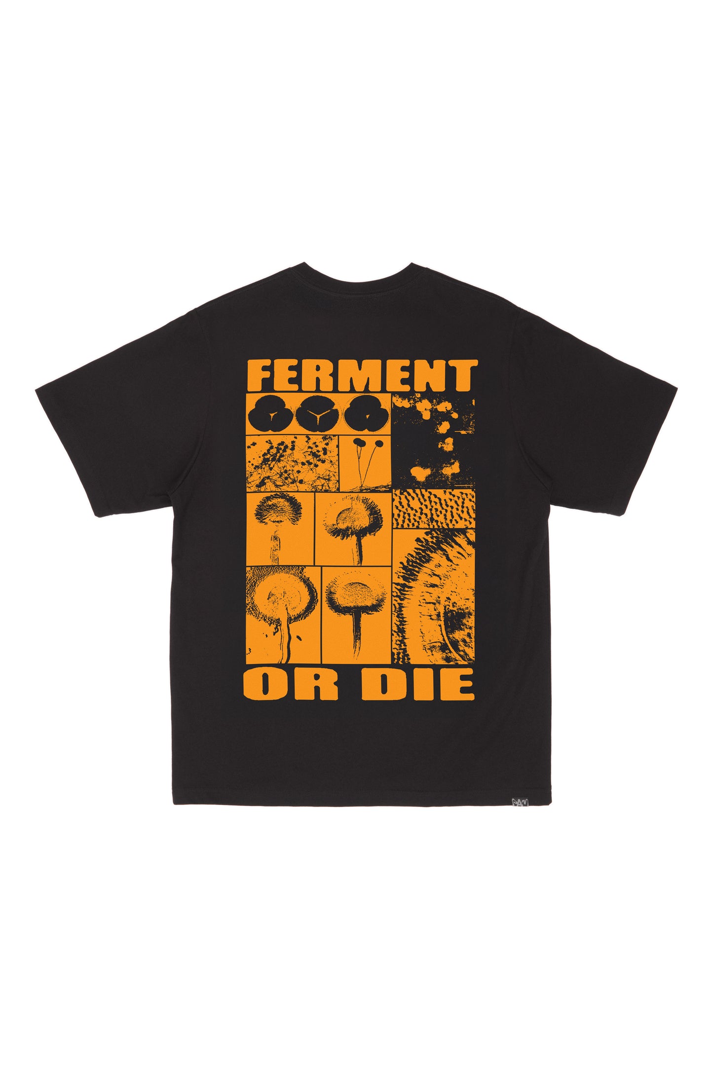 FERMENT OR D*E ☣️ PAM X ROUGH RICE