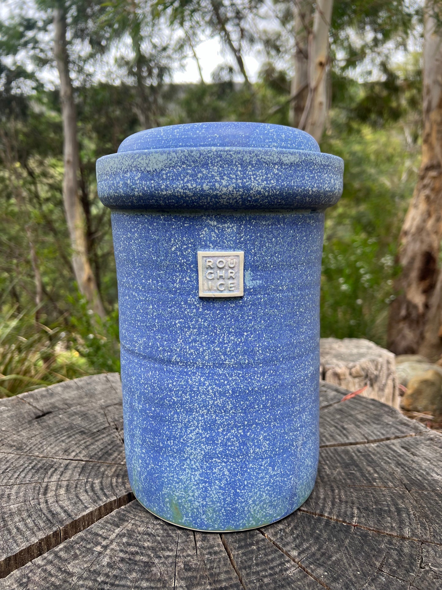 ROUGH RICE FERMENTATION CROCKS