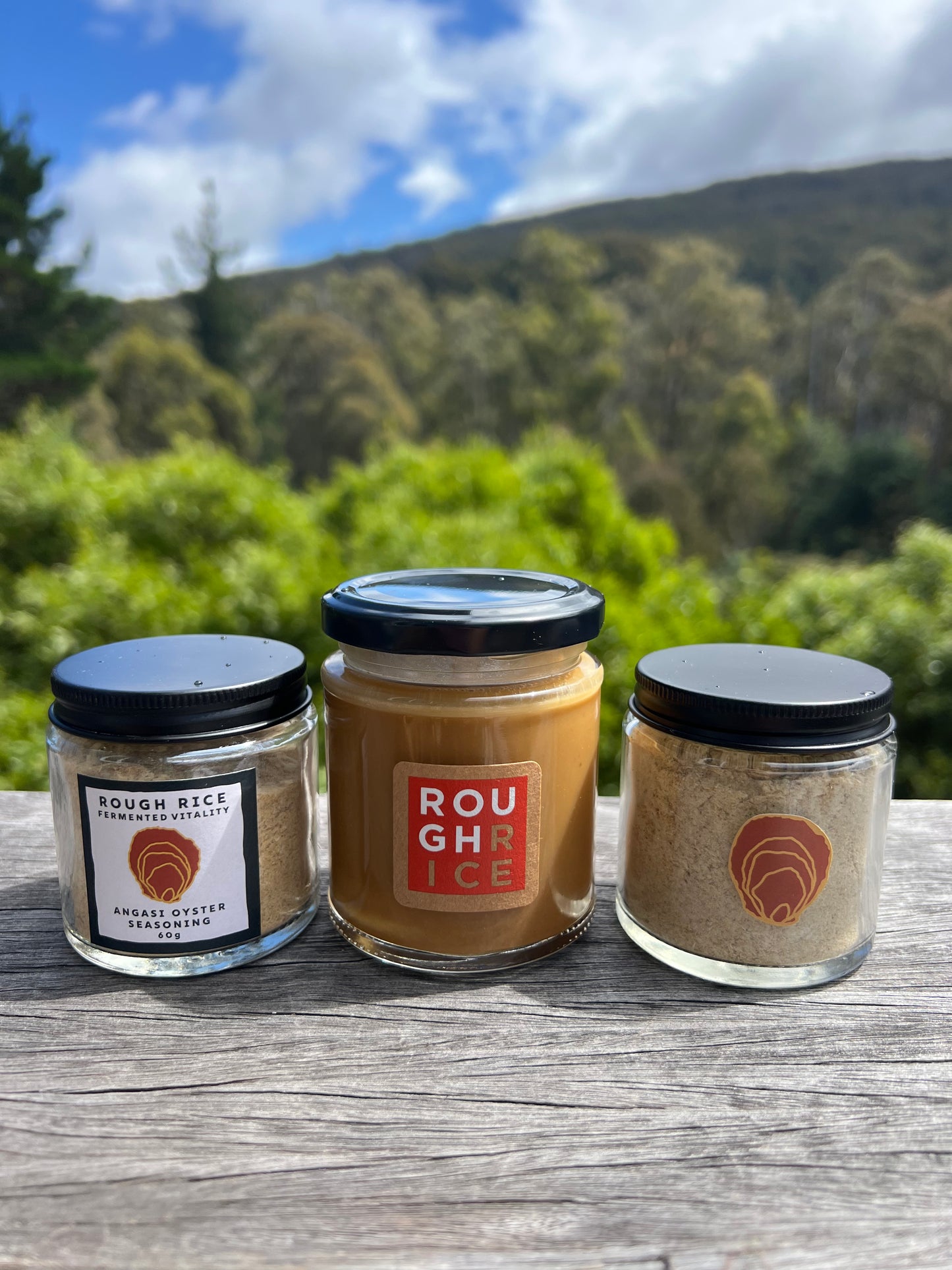 ANGASI OYSTER TRIO - 3 pack